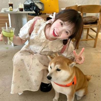 你的人生是我来迟了