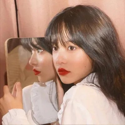 锦囊妙录